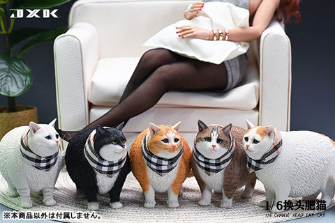 1/6 Fat Cat Exchangeable Face E