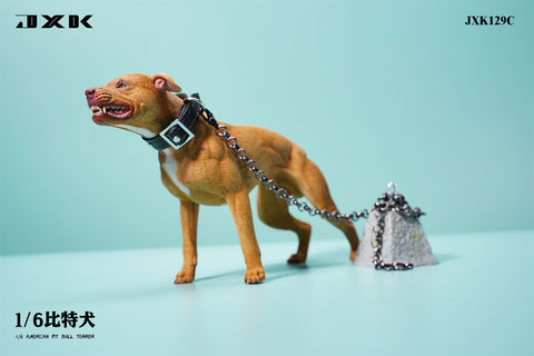 1/6 American Pit Bull Terrier C