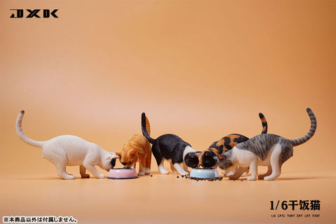 Cat Having a Dinner A5