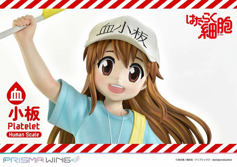 Hataraku Saibou - Platelet - Life Scale Masterline (LSHSB-01) - Prisma Wing (Prime 1 Studio)