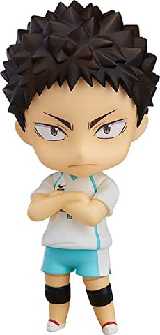 Haikyuu!! Karasuno Koukou VS Shiratorizawa Gakuen Koukou - Iwaizumi Hajime - Nendoroid #699 - 2022 Re-release (Orange Rouge)