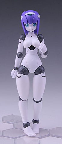 Polynian FMM Clover Ver. Update