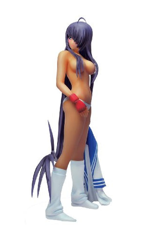 Ikki Tousen Great Guardians - Kan'u Unchou - Skytube - 1/8 - Perfect body ver. (Alphamax)