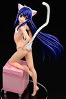 Fairy Tail - Wendy Marvell - 1/6 - Shiro Neko Gravure_Style