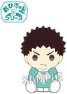 Haikyuu!! - Iwaizumi Hajime - O Hiza no Ue Series (Proof)