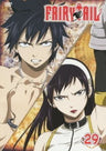 Fairy Tail 29