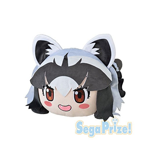 Kemono Friends - Araiguma - Nesoberi