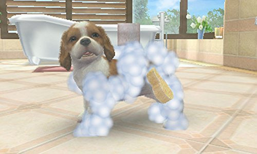 Nintendogs + Cats: Toy Poodle & New Friends (Happy Price Selection)