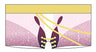 Yuri!!! on Ice - Victor Nikiforov - ACOS - Boxer Briefs