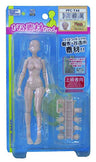 Premium Parts Collection PPC-T44 - 1/12 Sozai-chan - 1/12 - Flesh (Hobby Base, Yellow Submarine)