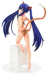 Fairy Tail - Wendy Marvell - 1/6 - Amaneko Gravure_Style (Orca Toys)