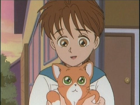 Omoide No Anime Library Vol.19 Mikan Enikki Dvd Box Digitally Remastered Edition