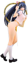 Original Character - Torashima Mizuki - Skytube - T2 Art☆Girls - 1/6 - Sailor Tiger (Alphamax)