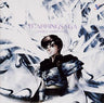 TearRingSaga Original Sound Track