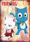 Fairy Tail Vol.20