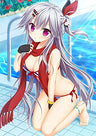 HANASAKI WORK SPRING! - Limited Edition