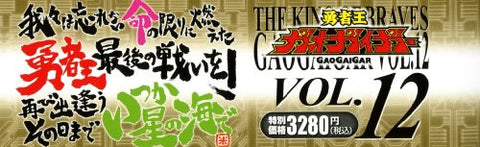 The King Of Braves Gaogaigar Vol.12