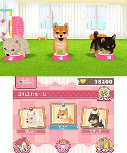 Kawaii Pet to Kurasou! Wan Nyan & Mini Mini Animal - Solaris