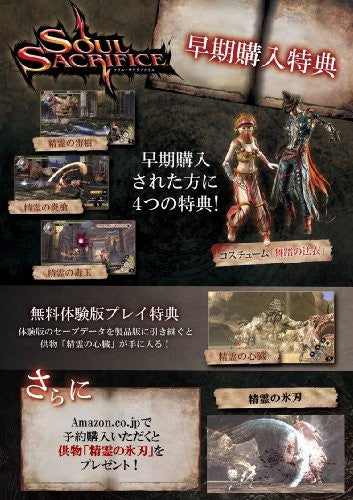 PSVita PlayStation Vita - Wi-Fi Model [Soul Sacrifice