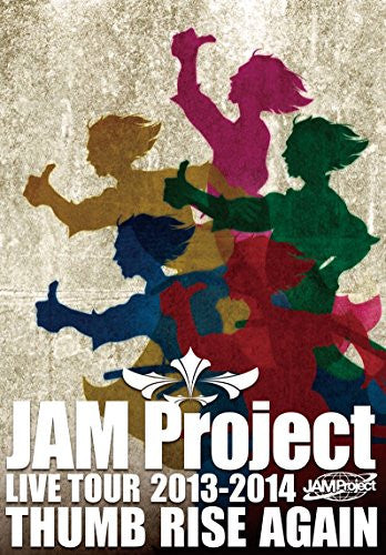 完璧 2013-2014 TOUR LIVE Project JAM THUMB DVD (shin LIVE AGAIN