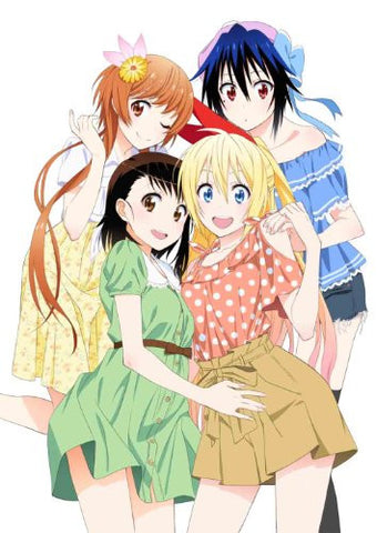 Nisekoi Vol.2