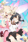 Fate/kaleid Liner Prisma Illya 2wei Vol.2