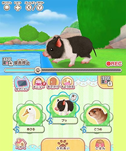Game Wan Nyan Pet Shop: Kawaii Pet to Fureau Mainichi Nintendo Switch -  Meccha Japan