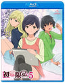 Hatsukoi Limited Vol.5