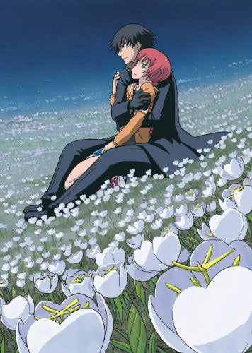 Darker Than Black - Ryusei No Gemini Vol.8 - Solaris Japan