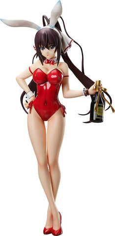 IS: Infinite Stratos - Shinonono Houki - B-style - 1/4 - Bare Leg Bunny Ver. (FREEing)
