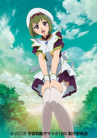 Uchuu Senkan Yamato 2199 Premium Poster Book