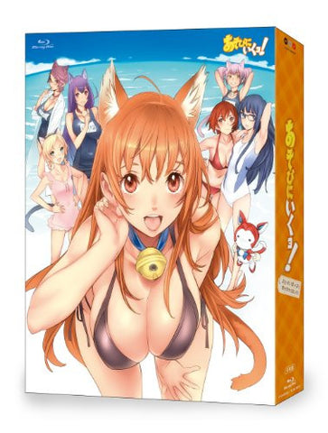 Asobi Ni Ikuyo Blu-ray Box De Asobi Ni Kimshita Blu-ray Box