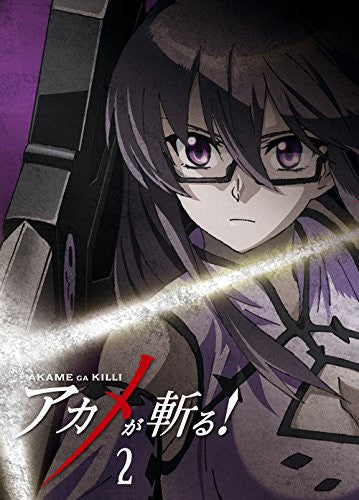 Akame Ga Kill Vol.2