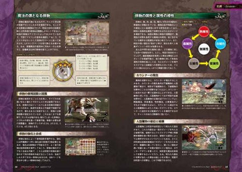 Soul Sacrifice Delta Official Guide Book