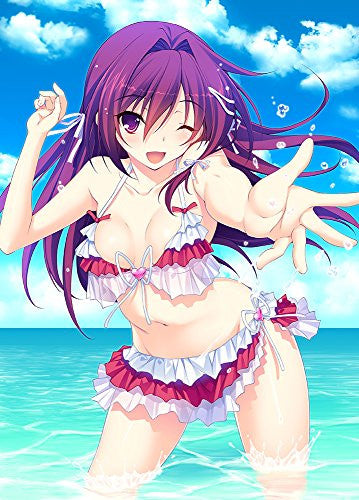 君を仰ぎ乙女は姫に 限定版 【PS Vitaゲームソフト】｜の通販は