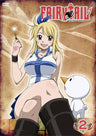 Fairy Tail Vol.2