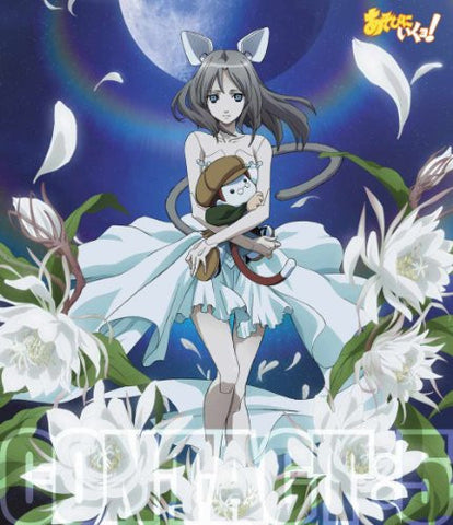 Asobi Ni Ikuyo! Contact.5