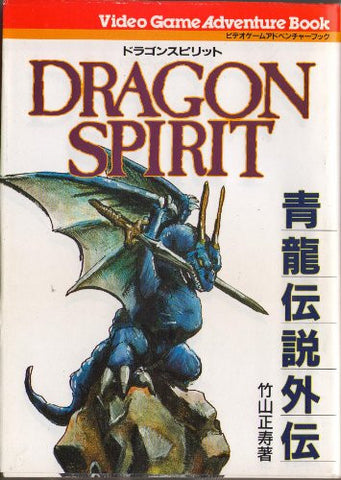 Dragon Spirit Seiryu Densetsu Gaiden Game Book / Rpg