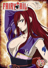 Fairy Tail Vol.17