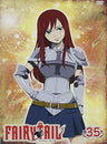 Fairy Tail 35