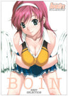 Boin Best Selection "Boin" Official Fan Book / Windows