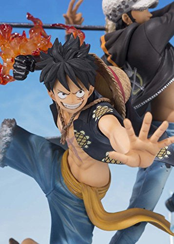 Monkey D Luffy | Trafalgar Law | 5th Anniversary Edition | One Piece -  Solaris Japan