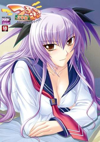 Tsuyokiss Visual Fan Book 2 Gakki