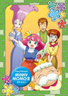 Emotion The Best Magical Princess Minky Momo: Embracing The Dream / Yume Wo Dakishimete DVD Box 3 Last Volume