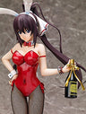 IS: Infinite Stratos - Shinonono Houki - B-style - 1/4 - Bunny ver. (FREEing)