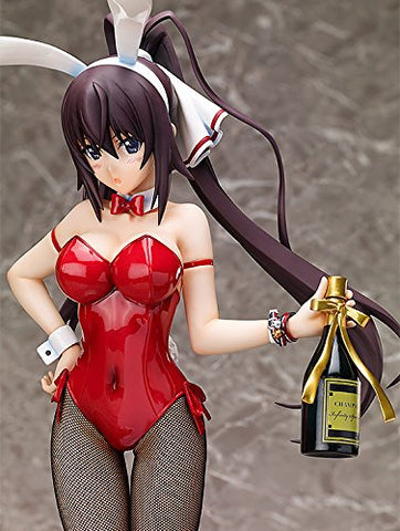 IS: Infinite Stratos - Shinonono Houki - B-style - 1/4 - Bunny ver. (FREEing)