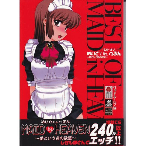 Best Of Maid In Heaven   Ai Toiunano Yokubou Illustration Art Book Fan Book