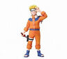 Collectible File DX - NARUTO Vol.1 Naruto Uzumaki