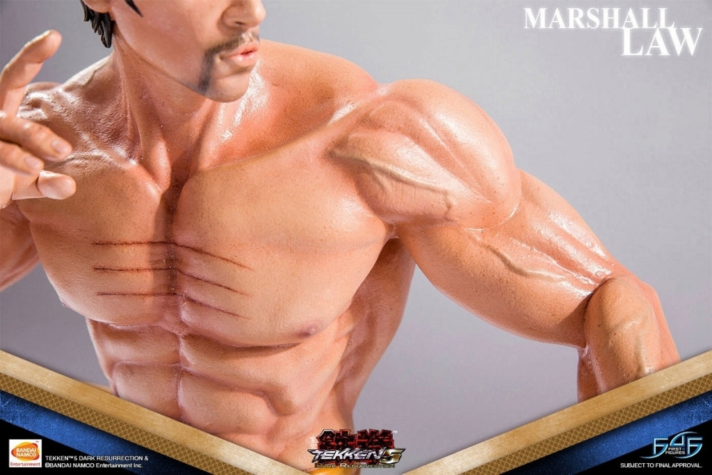 Tekken 5 DARK RESURRECTION - Marshall Law 1/4 Statue - Solaris Japan