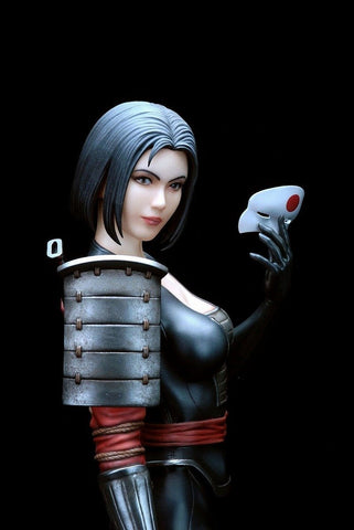 Fantasy Figure Gallery - DC Comics Collection: Katana 1/6 Resin Statue(Provisional Pre-order)